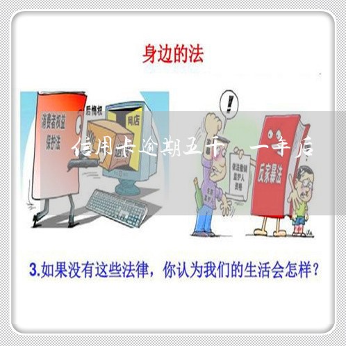 信用卡逾期五千 一年后 信用卡逾期五千 一年后